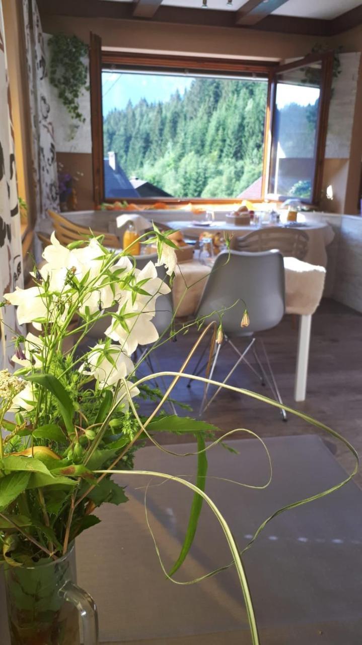 Bed and Breakfast Haus Sieben - Singer Lydia Kotschach-Mauthen Zewnętrze zdjęcie
